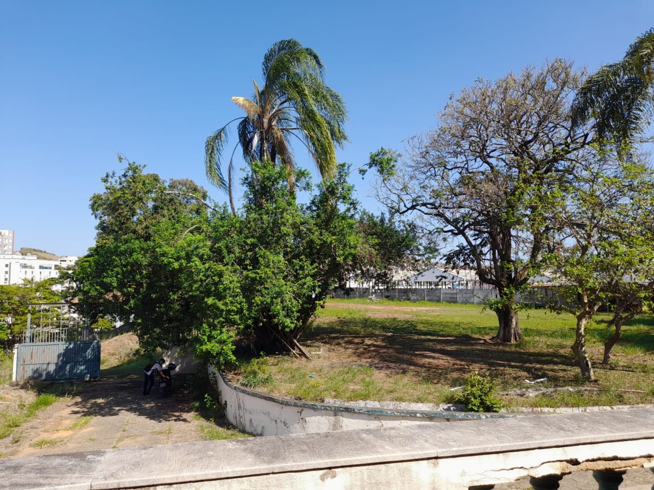Imagem da propriedade APA4606 8