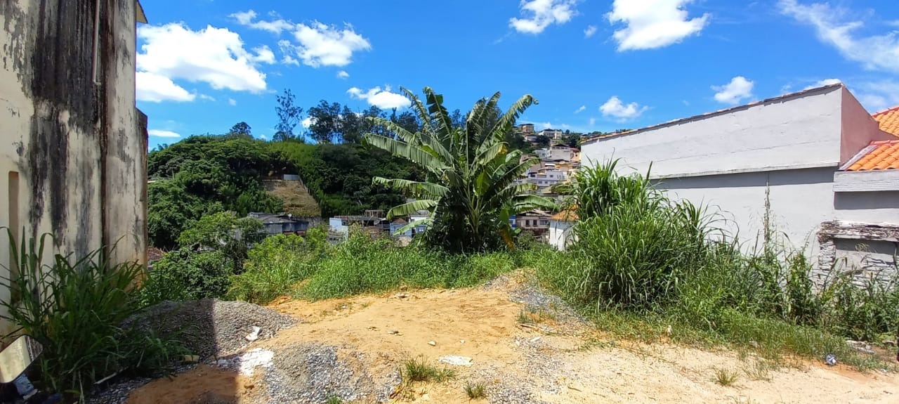 Imagem da propriedade APA7534 1