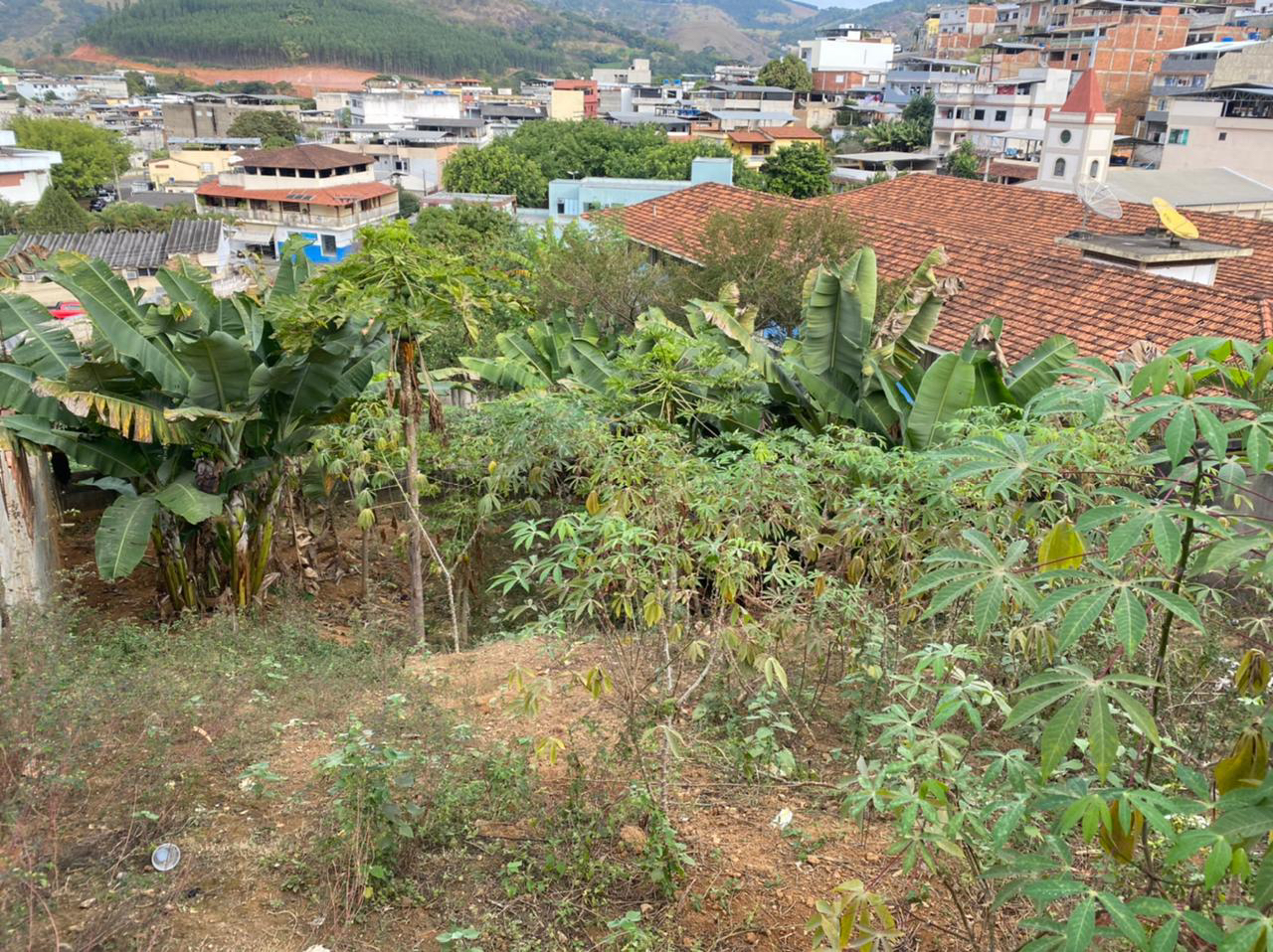 Imagem da propriedade APA7651 5