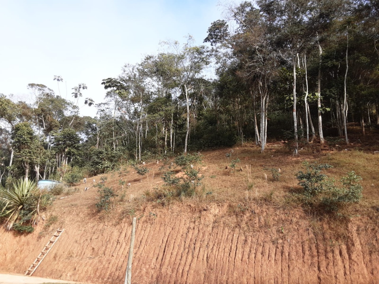 Imagem da propriedade APA8073 14
