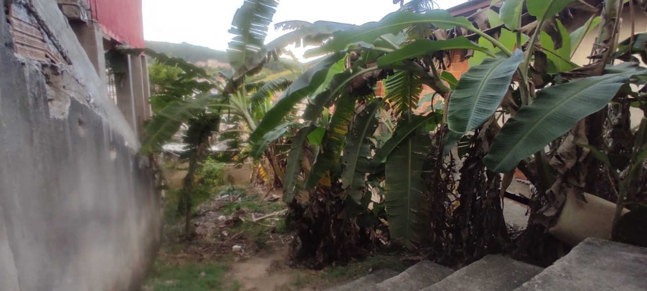 Imagem da propriedade APA8284 1
