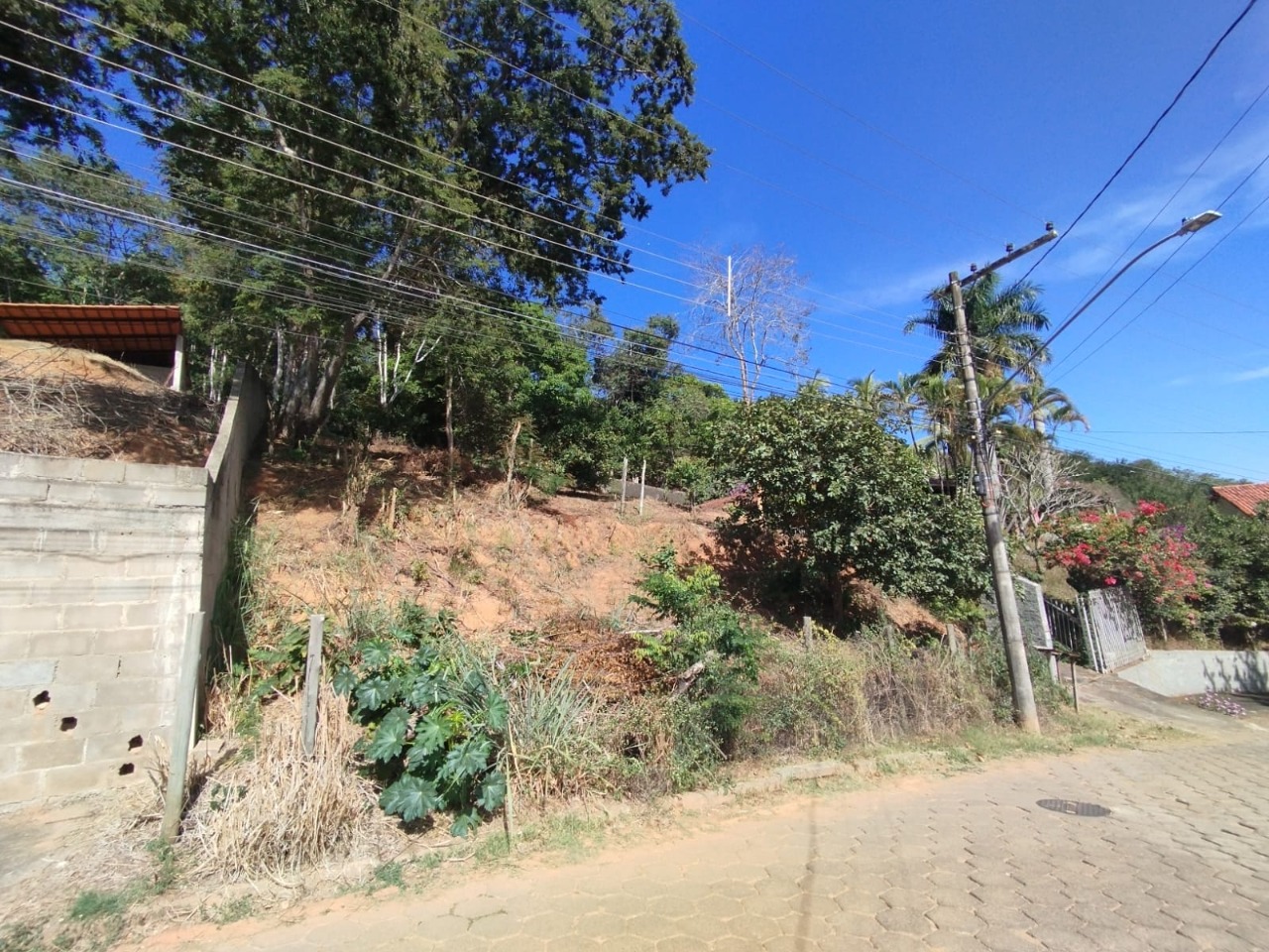 Imagem da propriedade APA8625 2