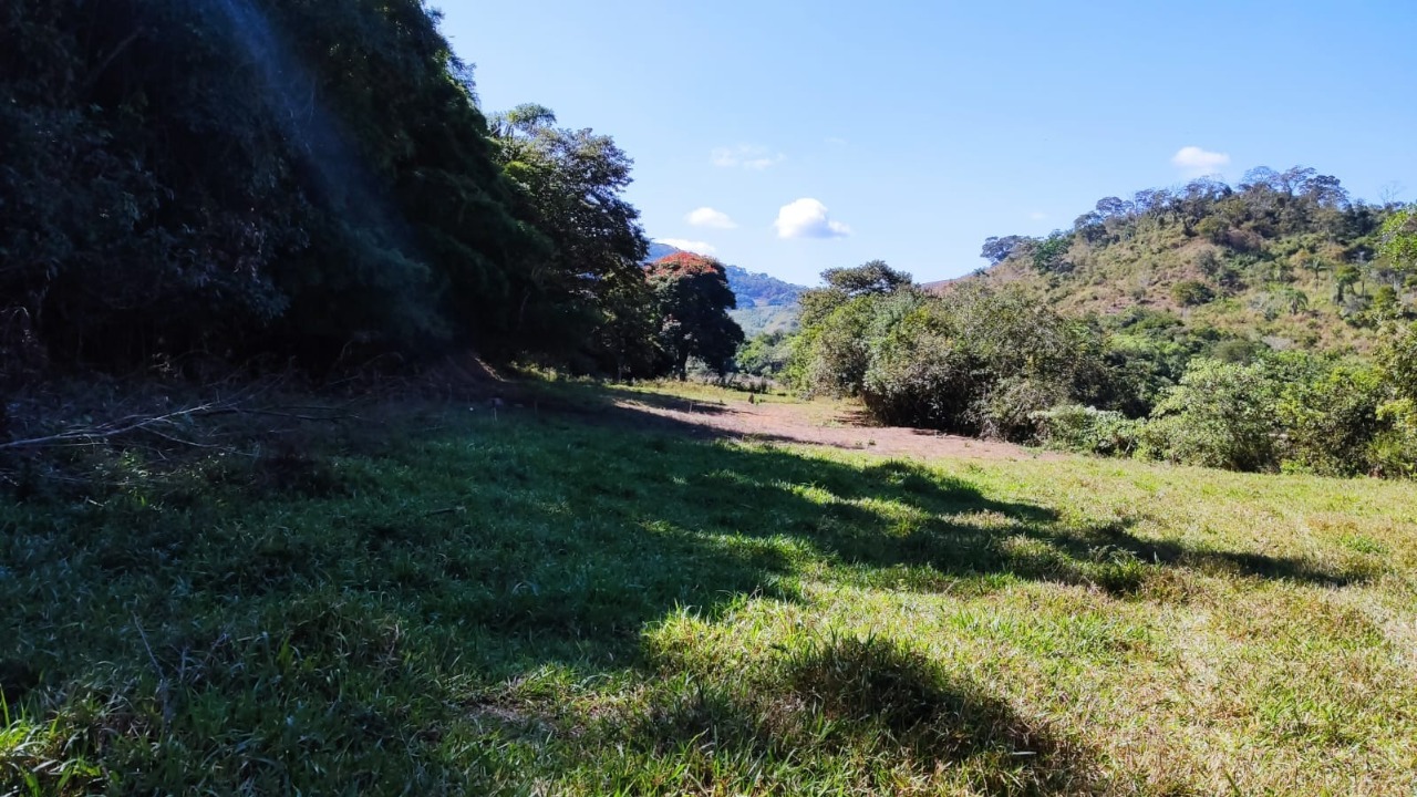 Imagem da propriedade APA8740 5
