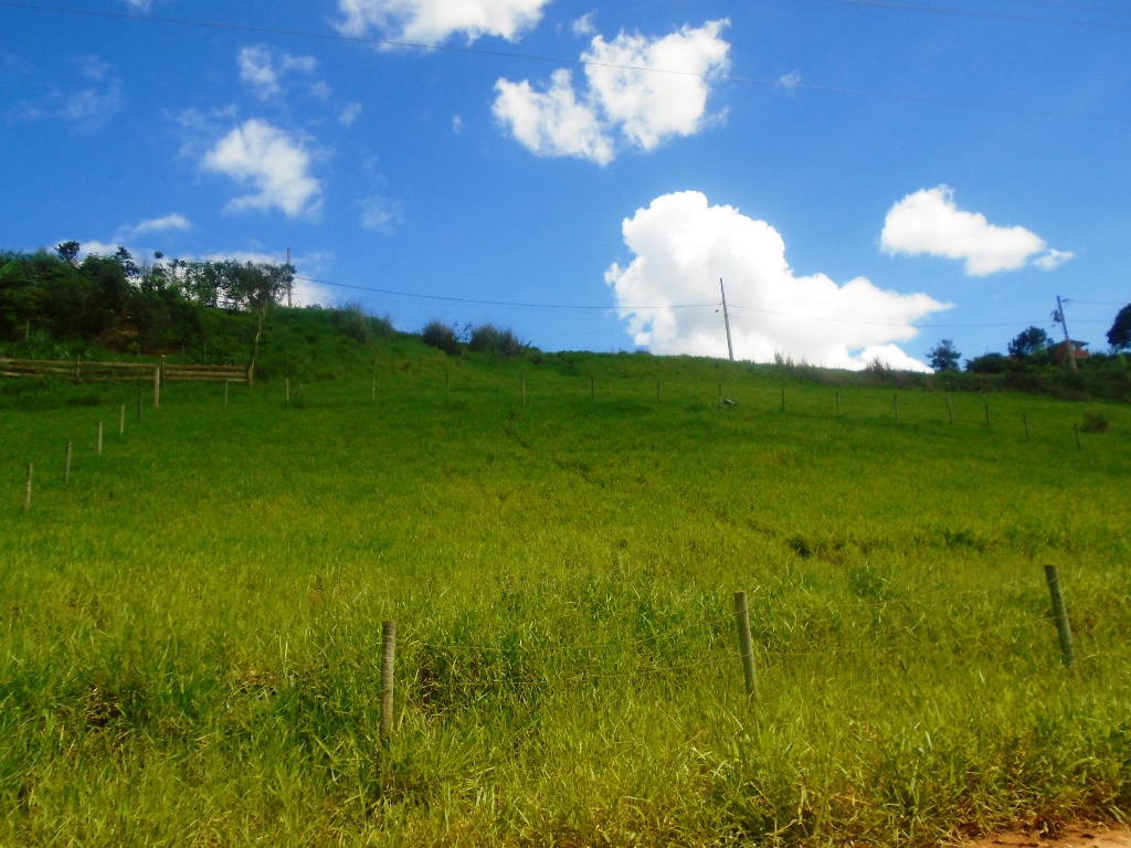 Imagem da propriedade APA4993 2