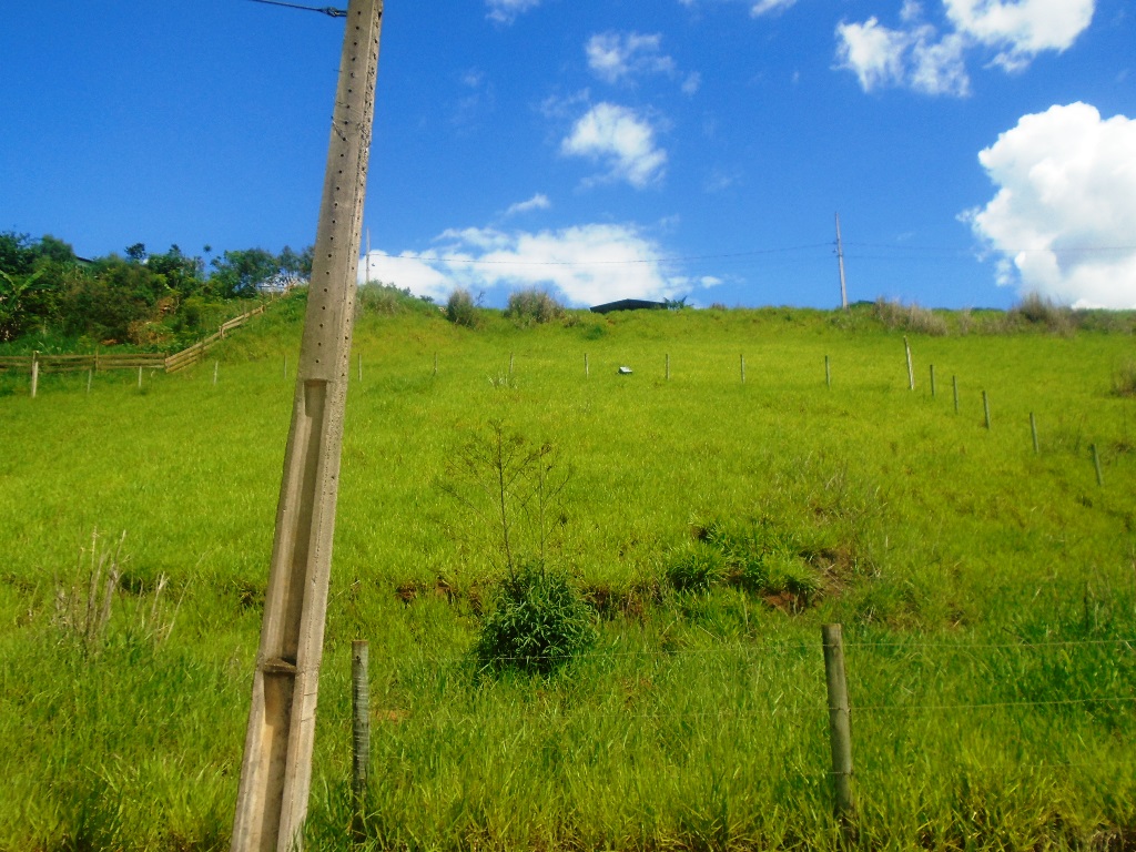 Imagem da propriedade APA4993 4