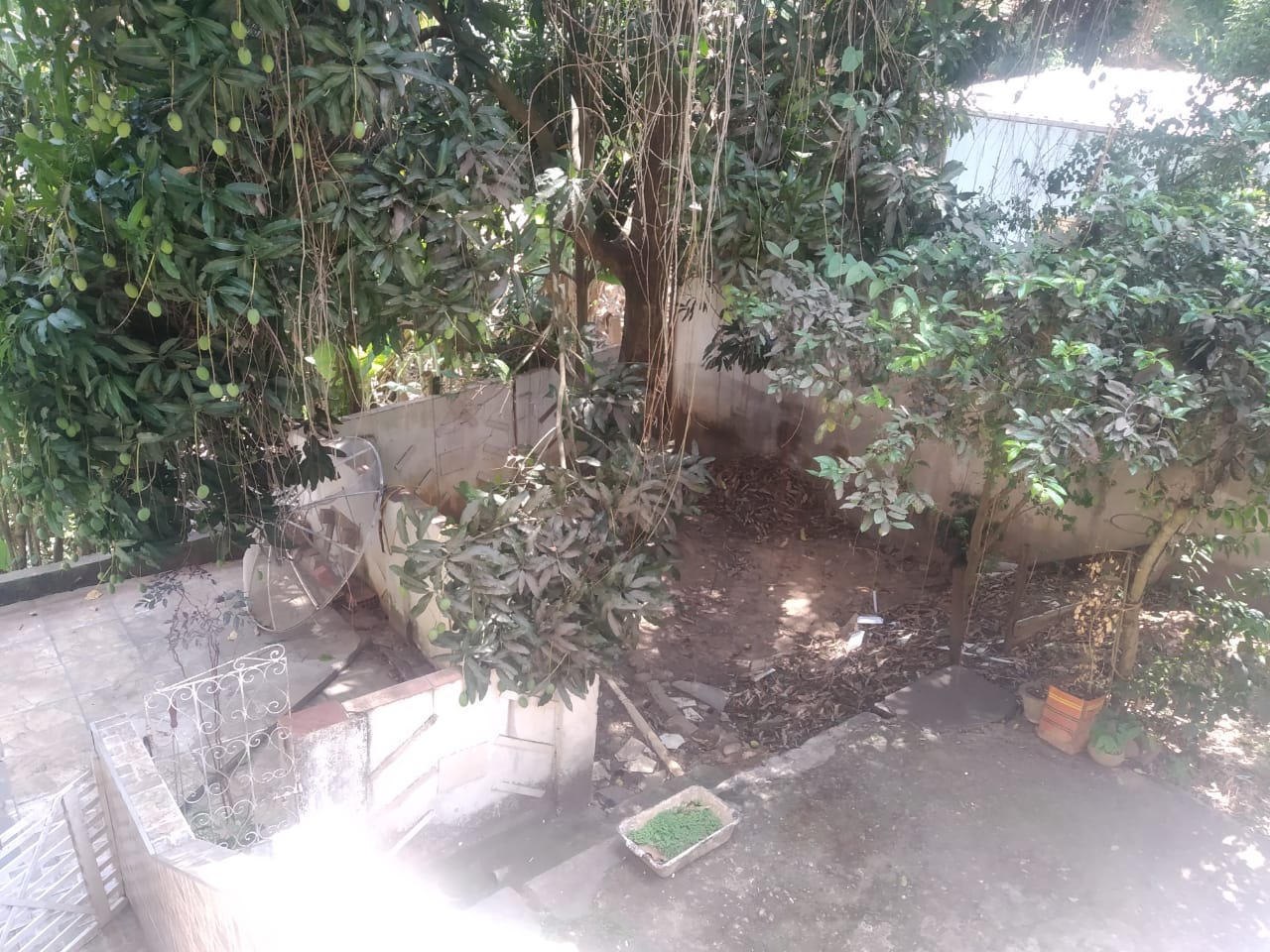 Imagem da propriedade APA6116 11