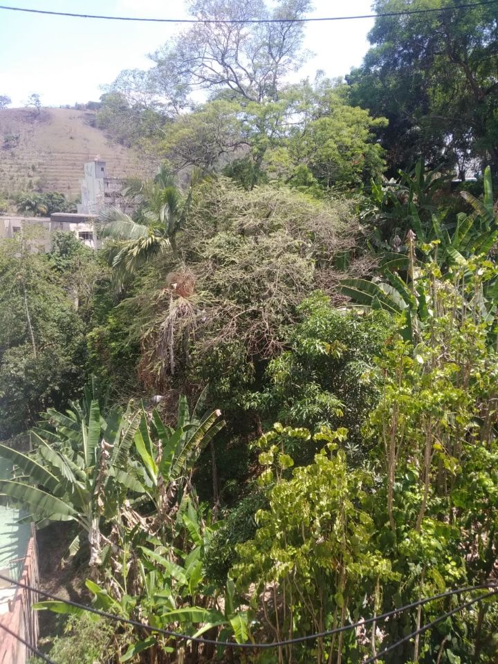 Imagem da propriedade APA6116 15