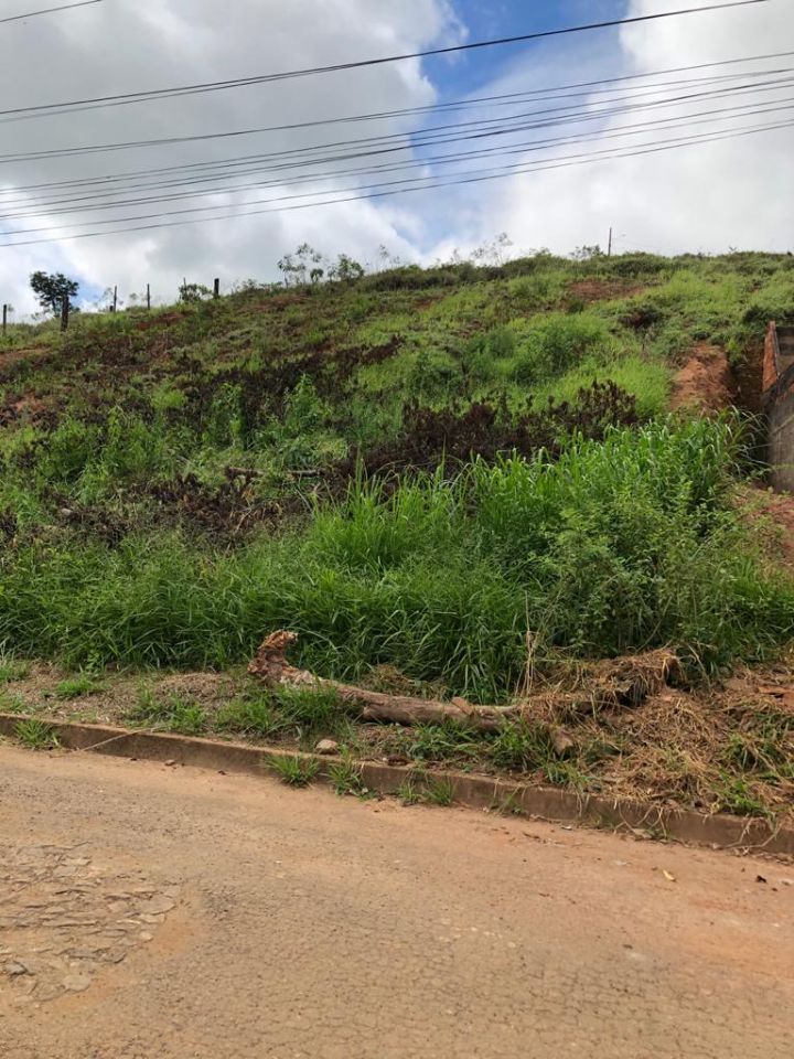 Imagem da propriedade APA7341 4